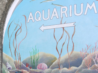 The Sea Swallow holiday cottage Cornwall. Fowey Aquarium.